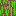 broccoli Block 4