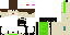 Enderman Disguised Mob 2