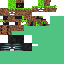 DIRT WITHER Mob 16