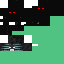 NINJA WITHER BOSS Mob 1