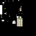 commander video body guard Mob 9