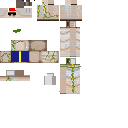 PIXEL GAURD GOLEM Mob 12