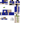 dameged  police Mob 1