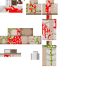 Tom Brady Injured Mob 0