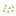 seeds pumpkin Item 6