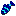 fish clownfish raw Item 2