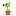 PvZ peashooter Item 13