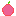 advencheres apple Item 5