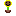 sunflower Item 7
