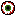 Animals eye Item 11