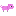 Copy of pig pet