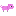 Copy of pig pet Item 3