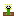 flowey Item 1