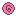 Rose&#039;s sheild Item 5