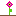 flower Item 5