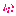 SEEDS OF PINK Item 4