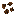 Coffee Beans Item 12