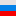 Russian Flag Item 1