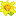 a yellow flower.. Item 2