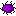 sea urchin
