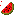 Watermalon Vine
