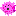 pink pufferfish Item 7