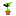 toxic  peashooter Item 1