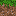 dirt block Item 2