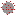 coronaviris Item 2