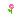 pink Flower Item 4
