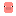 pig elytra Item 12