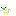 infected chicken Pet Item 2