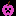 Pink creeper apple Item 0
