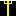 TRIDENT Item 12