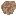 Da coconut nut Item 2