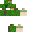 creeper Skin 3