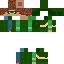 Arrow Skin 1