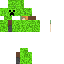 Creeper Skin 2