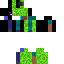 ender turtle Skin 1
