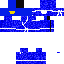 blue ninja Skin 1
