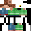 carl Skin 5