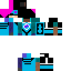 Pixelator Skin 7