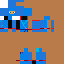 blue ninja Skin 6