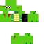 tiny turtle Skin 14