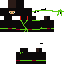 ninja Skin 7