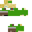 link Skin 4
