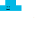 blue square face Skin 15