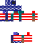 AMERICA #@!% YEA Skin 3