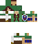 Female Brown Haired Link Skin 5