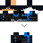 nightwing Skin 2